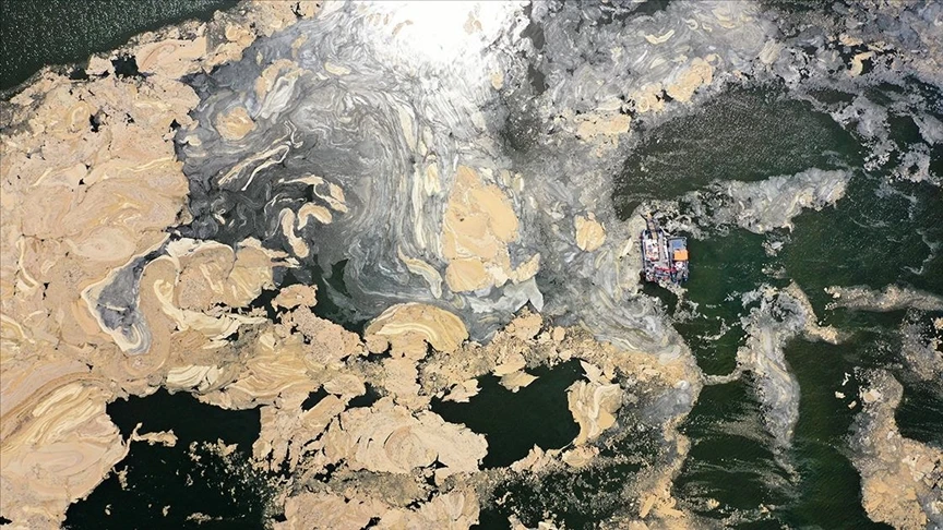 Müsilaj nedir, nasıl oluşur? Deniz salyası müsilaj nerelerde görülür?